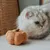 Bagane Jouet d'occupation pour chat formes citrouille et chou, K Veggie Bagane Jouet d'occupation pour chat formes citrouille et chou, K Veggie