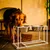 Bagane Set de 2 gamelles surélevées en acier,socle design métal noir Olne Bagane Set de 2 gamelles surélevées en acier,socle design métal noir Olne