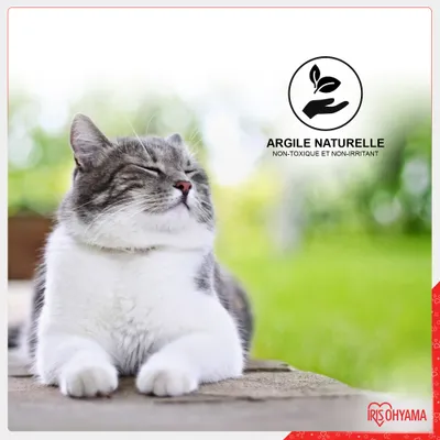 Sacs à litière agglomérante pour Chat 2 x 8L, naturel et sans odeur