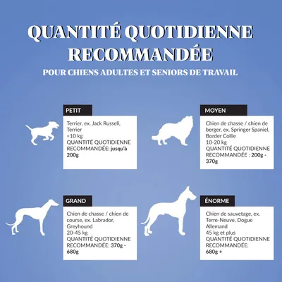 Dr John Silver Poulet aux Légumes