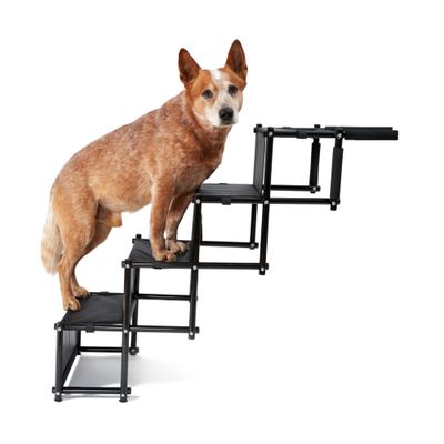PiuPet® Escalier pour Chien I Jusqu’à 80kg I Pliable I Rampe Voiture