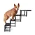 PiuPet® Escalier pour Chien I Jusqu’à 80kg I Pliable I Rampe Voiture PiuPet® Escalier pour Chien I Jusqu’à 80kg I Pliable I Rampe Voiture
