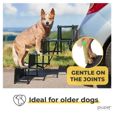 PiuPet® Escalier pour Chien I Jusqu’à 80kg I Pliable I Rampe Voiture