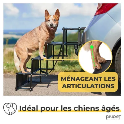 PiuPet® Escalier pour Chien I Jusqu’à 80kg I Pliable I Rampe Voiture