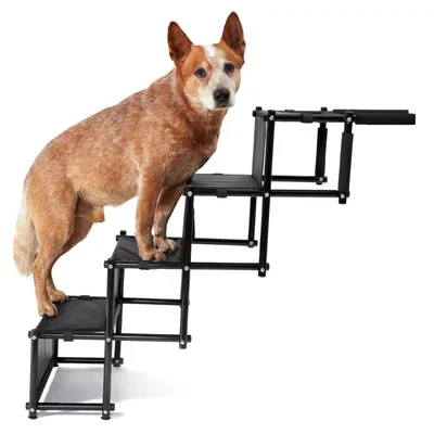 PiuPet® Escalier pour Chien I Jusqu’à 80kg I Pliable I Rampe Voiture PiuPet® Escalier pour Chien I Jusqu’à 80kg I Pliable I Rampe Voiture