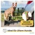 PiuPet® Escalier pour Chien I Jusqu’à 80kg I Pliable I Rampe Voiture PiuPet® Escalier pour Chien I Jusqu’à 80kg I Pliable I Rampe Voiture