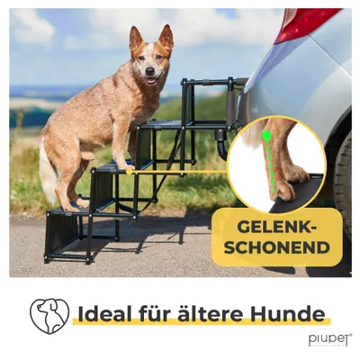 PiuPet® Escalier pour Chien I Jusqu’à 80kg I Pliable I Rampe Voiture PiuPet® Escalier pour Chien I Jusqu’à 80kg I Pliable I Rampe Voiture