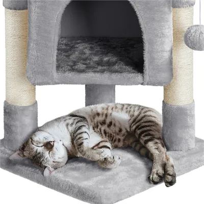 Yaheetech  Petit Arbre à Chat à 2 Niveaux avec Condo