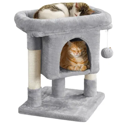 Yaheetech  Petit Arbre à Chat à 2 Niveaux avec Condo