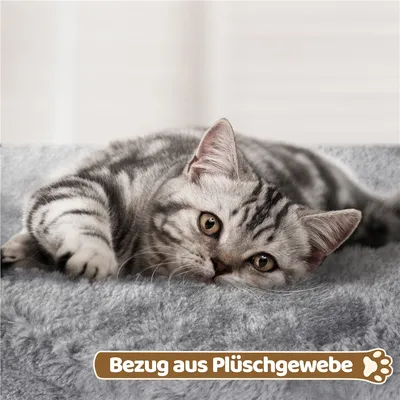Kratzbaum Klein 60cm Katzenbaum stabil Kletterbaum mit großem