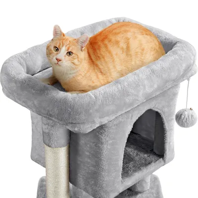 Yaheetech  Petit Arbre à Chat à 2 Niveaux avec Condo