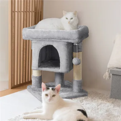 Yaheetech  Petit Arbre à Chat à 2 Niveaux avec Condo