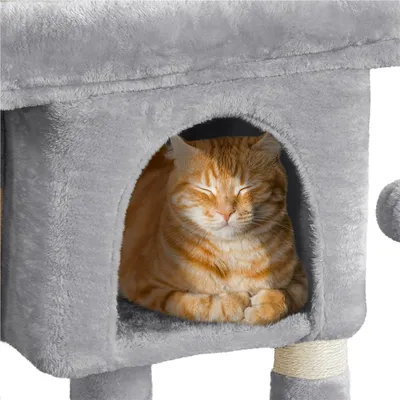 Yaheetech  Petit Arbre à Chat à 2 Niveaux avec Condo