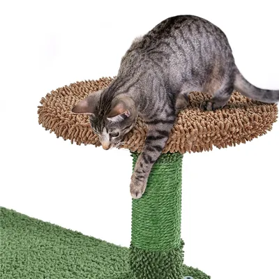 Yaheetech Arbre à Chat Design Cactus Tour