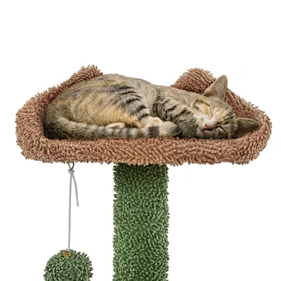 Yaheetech Arbre à Chat Design Cactus Tour