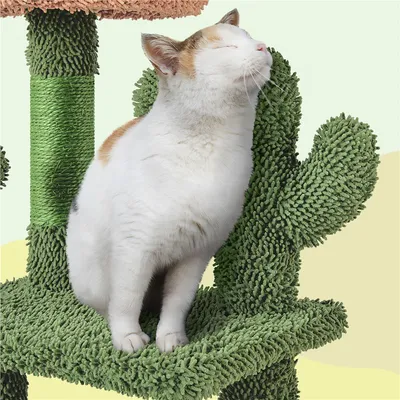 Yaheetech  Arbre à Chat Cactus Multiniveau Tour pour Chat