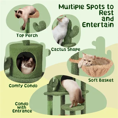 Yaheetech  Arbre à Chat Cactus Multiniveau Tour pour Chat