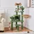 Yaheetech  Arbre à Chat Cactus Multiniveau Tour pour Chat