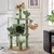 Yaheetech  Arbre à Chat Cactus Multiniveau Tour pour Chat