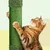 Yaheetech  Arbre à Chat Cactus Multiniveau Tour pour Chat