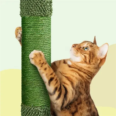 Yaheetech  Arbre à Chat Cactus Multiniveau Tour pour Chat