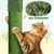 Kaktus Kratzbaum 135 cm Katzenbaum mit Aussichtsplattform Katzenhöhle Kaktus Kratzbaum 135 cm Katzenbaum mit Aussichtsplattform Katzenhöhle