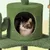 Yaheetech  Arbre à Chat Cactus Multiniveau Tour pour Chat