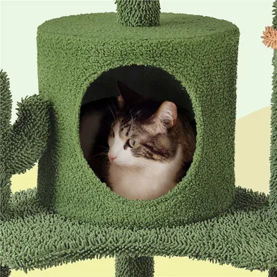 Yaheetech  Arbre à Chat Cactus Multiniveau Tour pour Chat