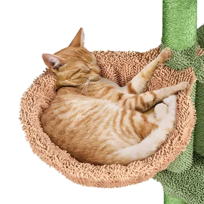 Yaheetech  Arbre à Chat Design Cactus Tour pour Chat en Peluche