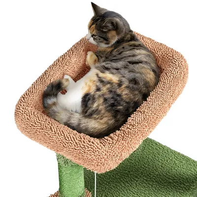 Yaheetech  Arbre à Chat Design Cactus Tour pour Chat en Peluche
