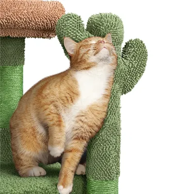 Yaheetech  Arbre à Chat Design Cactus Tour pour Chat en Peluche