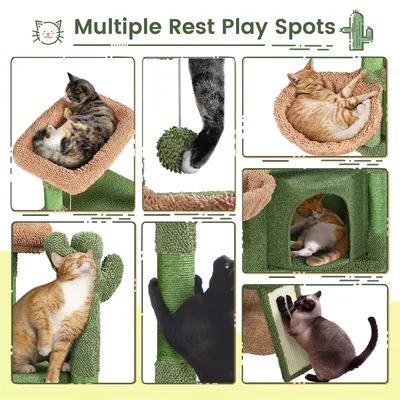 Yaheetech  Arbre à Chat Design Cactus Tour pour Chat en Peluche
