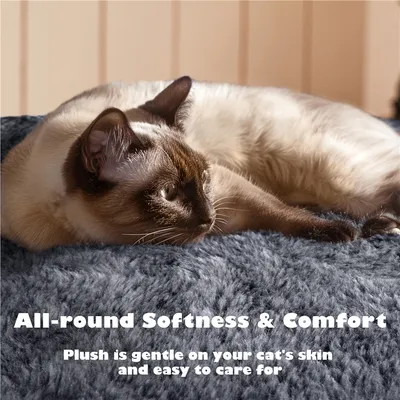 Yaheetech Arbre à Chat