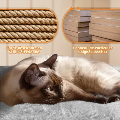 Yaheetech Arbre à chat Confort Agréable Gris Clair