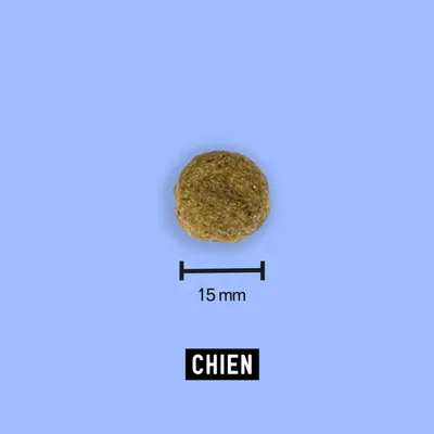 Croquettes aux insectes pour chien sans céréales - Tomojo