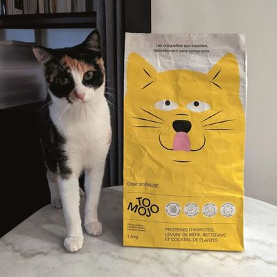 Croquettes chat sans céréales adulte - Tomojo