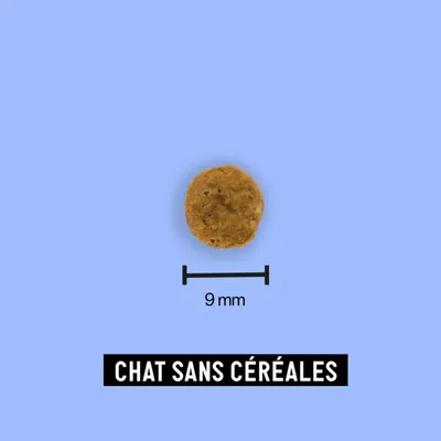 Croquettes chat sans céréales adulte - Tomojo