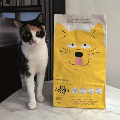 Croquettes chat sans céréales adulte - Tomojo