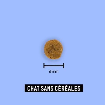 Tomojo - Croquettes aux Insectes Sans Céréales pour Chat