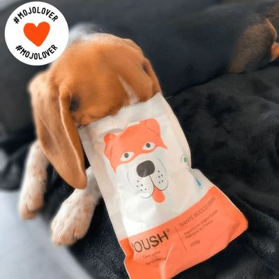 Friandise Moush chien santé bucco-dentaire  - Tomojo