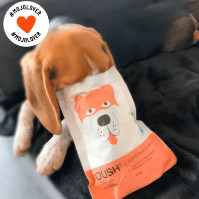 Friandise Moush chien santé bucco-dentaire  - Tomojo