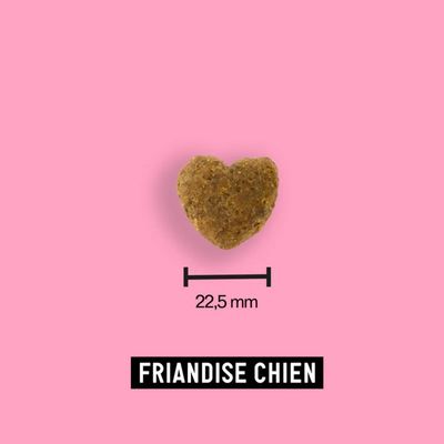Friandise Moush chien santé bucco-dentaire  - Tomojo