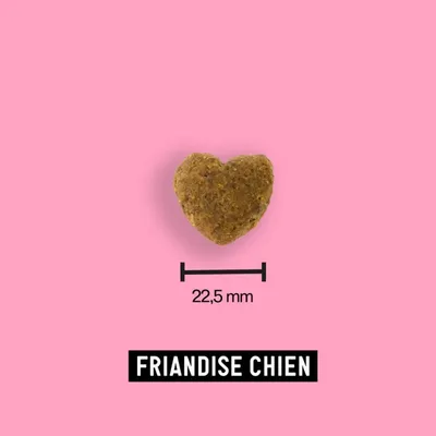 Friandise Moush chien santé bucco-dentaire  - Tomojo