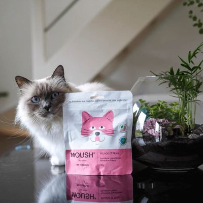 Friandises Moush chat pelage et peau - Tomojo