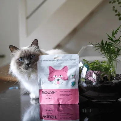 Friandises Moush chat pelage et peau - Tomojo