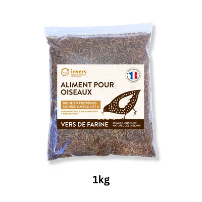 Vers de farine déshydratés - Invers