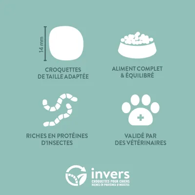 Croquettes aux insectes pour chien de taille moyenne - Invers