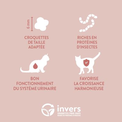 Croquettes aux insectes pour chatons et femelles allaintantes - Invers