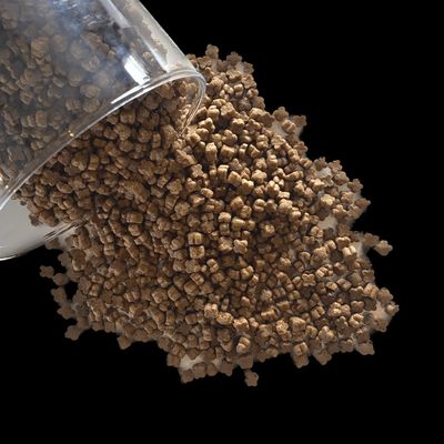 Croquettes aux insectes pour chatons et femelles allaintantes - Invers