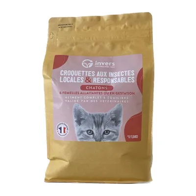 Croquettes aux insectes pour chatons et femelles allaintantes - Invers Croquettes aux insectes pour chatons et femelles allaintantes - Invers